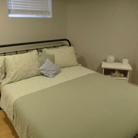 Fantastic And Modern Downtown 1-Bed Basement Apt., Parking Wi-Fi And Netflix Included Οττάβα Εξωτερικό φωτογραφία