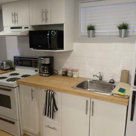 Fantastic And Modern Downtown 1-Bed Basement Apt., Parking Wi-Fi And Netflix Included Οττάβα Εξωτερικό φωτογραφία