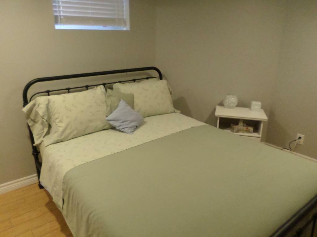 Fantastic And Modern Downtown 1-Bed Basement Apt., Parking Wi-Fi And Netflix Included Οττάβα Εξωτερικό φωτογραφία