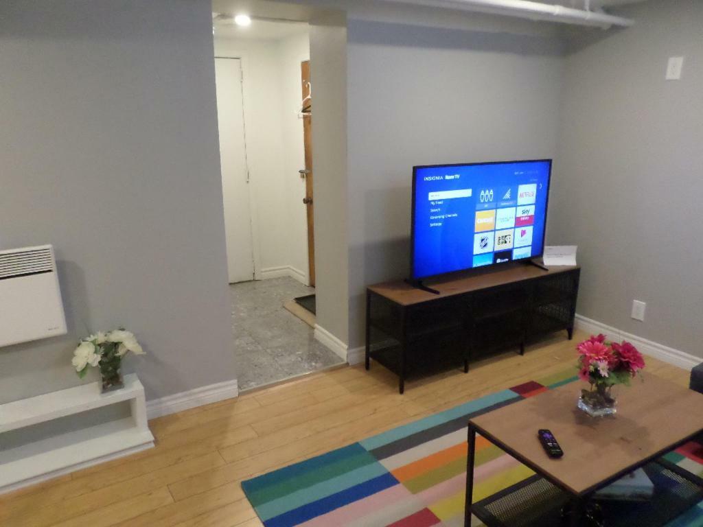 Fantastic And Modern Downtown 1-Bed Basement Apt., Parking Wi-Fi And Netflix Included Οττάβα Εξωτερικό φωτογραφία